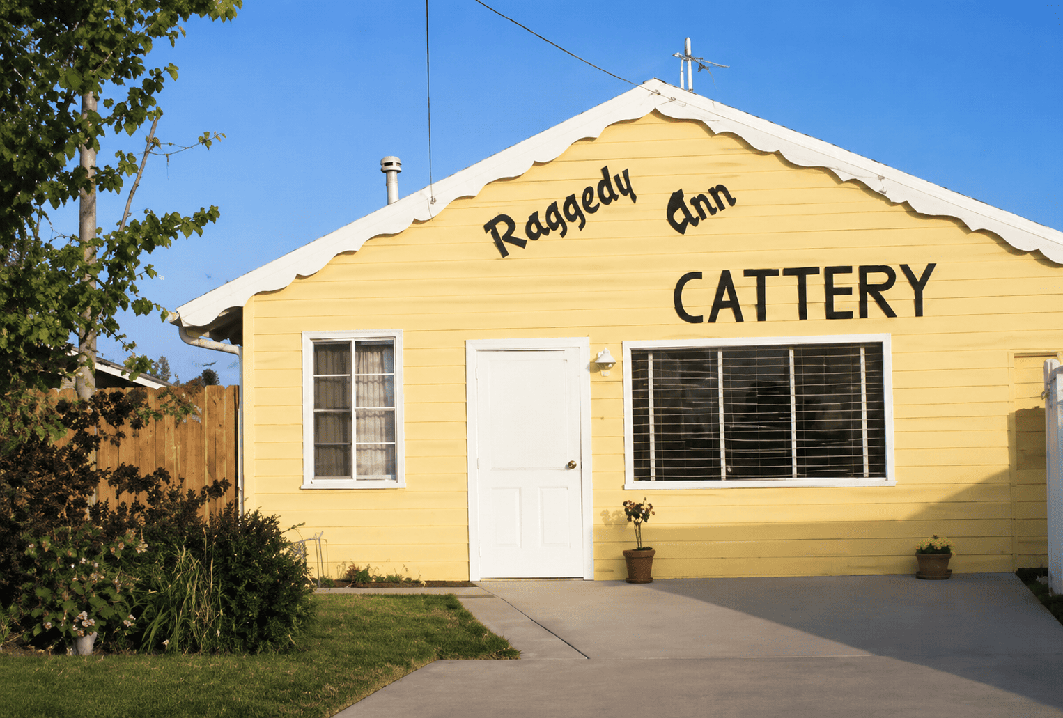 Raggedy Ann cattery home of Ann Baker